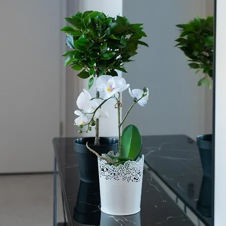 Lejlighedshotel Break Rajska 8 Gdańsk