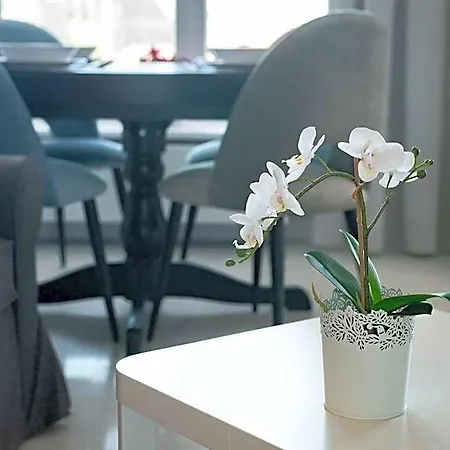 Break Rajska 8 - By Ina 4*