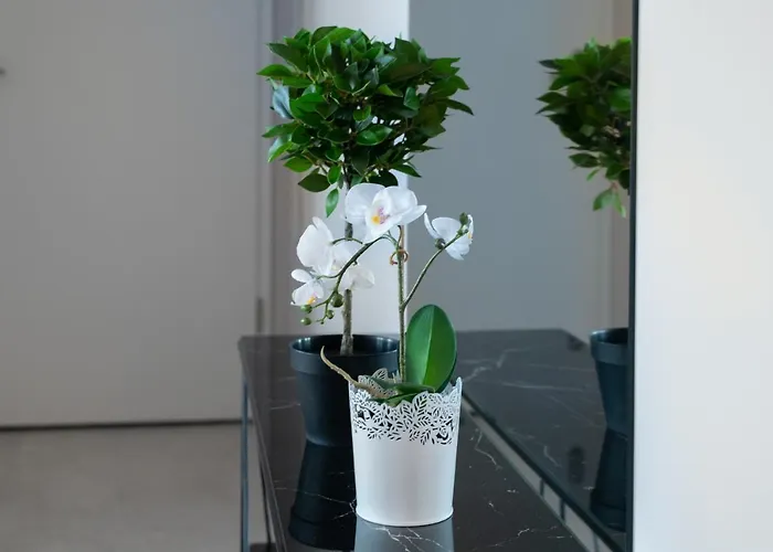 公寓式酒店 Break Rajska 8 格但斯克